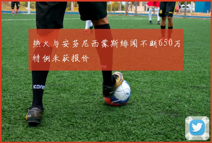 热火与安芬尼西蒙斯绯闻不断650万特例未获报价