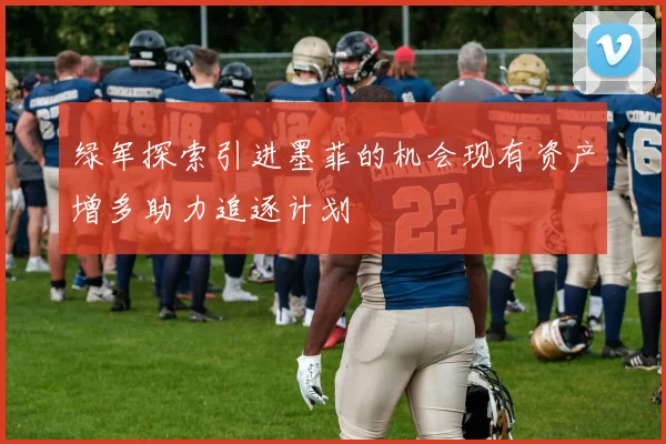 绿军探索引进墨菲的机会现有资产增多助力追逐计划